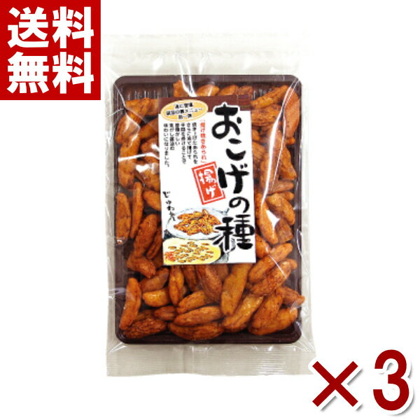 龍屋物産 おこげの種 110g×3入 (ポイント消化) (CP) (メール便全国送料無料)