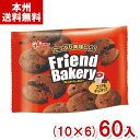 江崎グリコ 62gフレンドベーカリー ココア＆チョコチップ (10×6)60入 (チョコチップクッキー お菓子) (Y12) (本州送料無料)