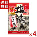 春日井 塩あめ 144g×4袋入 (塩飴 塩分補給 熱中症対策) (1000円ポッキリ)(ポイント消化) (CP)(賞味期限2025.12月末) (メール便全国...