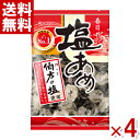 春日井 塩あめ 144g×4袋入 (塩飴 塩分補給 熱中症対策) (ポイント消化) (CP)(賞味期限2025.1月末) (メール便全国送料無料)