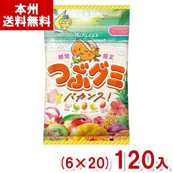 春日井製菓 75g つぶグミ バカンス (6×20)120袋入 (期間限定 グミ お菓子 まとめ買い) (Y12)(2ケース販売) (本州送料無料)