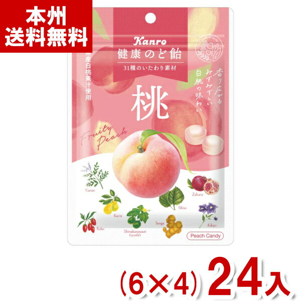 カンロ 80g 健康のど飴 桃 (6×4)24入 (期間限定 和漢 ハーブ キャンディ のどあめ 飴) (Y80) (本州送料無料)