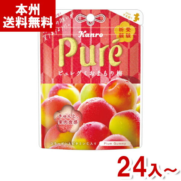 楽天ゆっくんのお菓子倉庫カンロ 52g ピュレグミ おまもり梅 （期間限定 受験 応援 合格祈願 受験祈願 グミ お菓子 おやつ まとめ買い） （賞味期限2024.10月末） （本州送料無料）*