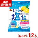 ブルボン 94g ミネラル塩飴 (6×2)12入 (塩分補給 熱中症予防 キャンディ お菓子 景品) (Y80) (本州送料無料)