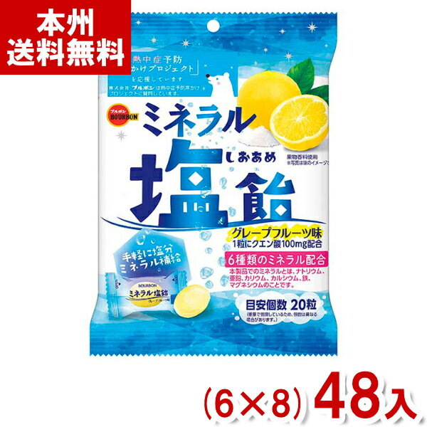 キャンディ ブルボン 94g ミネラル塩飴 (6×8)48入 (塩分補給 熱中症予防 キャンディ 塩あめ お菓子) (Y12)(ケース販売) (本州送料無料)