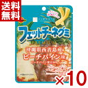 ブルボン フェットチーネグミ PREMIUM ピーチパイン味 50g×10入 (ポイント消化) (CP) (賞味期限2026.1月末) (レ) (メール便全国送...