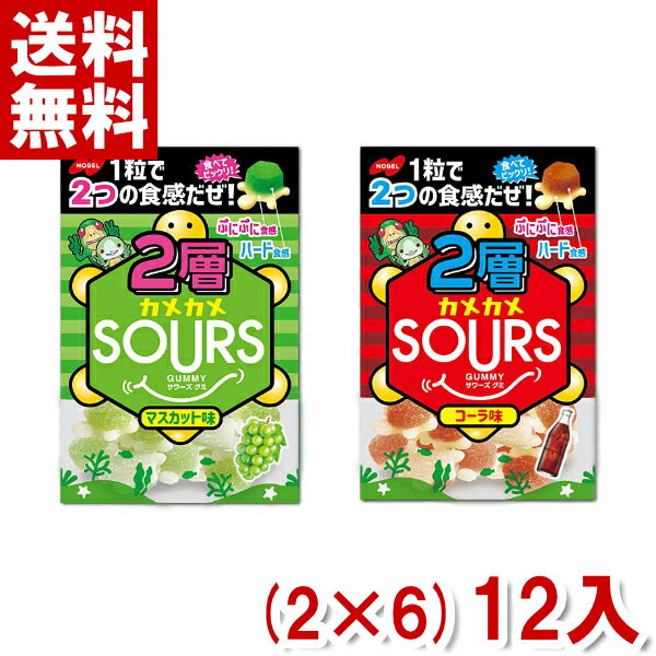 ノーベル 2層カメカメSOURS(サワーズ) (2種類×6袋)12袋入 (ポイント消化)(CP) (2つ選んでメール便全国送料無料)のサムネイル