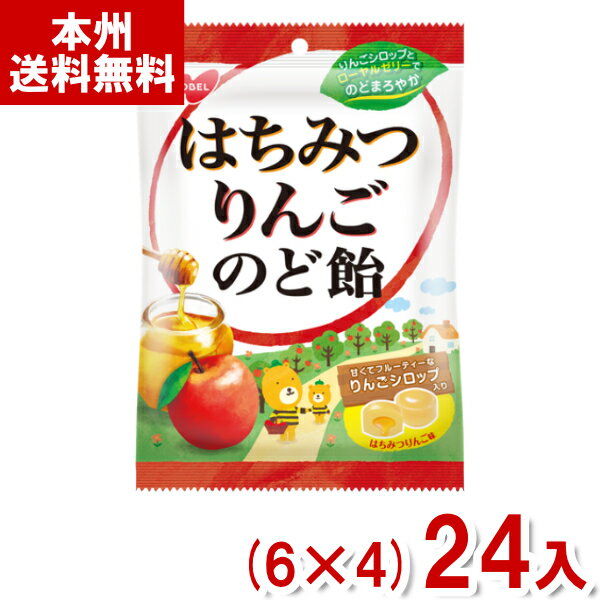 ノーベル 110g はちみつりんごのど飴 (6×4)24入 (はちみつ リンゴ キャンディ のどあめ 飴) (Y10) (本州送料無料)