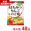 ノーベル 110g はちみつりんごのど飴 (6×8)48入 (はちみつ リンゴ キャンディ のどあめ) (Y12)(ケース販売) (本州送料無料)