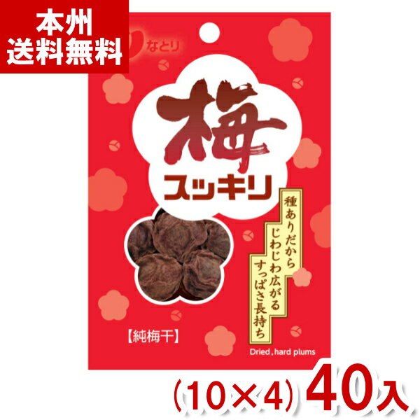 なとり 14g 梅スッキリチャック付 (10×4)40入 (干し梅 梅干し 熱中症対策 塩分補給 おやつ) (Y80) (本州送料無料)