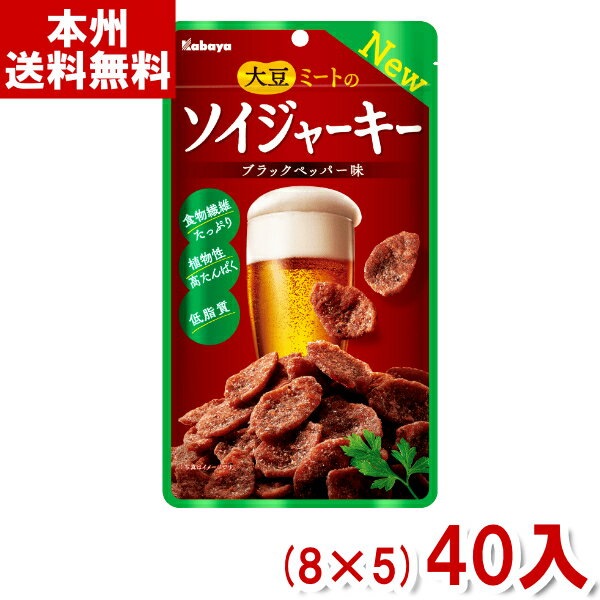 カバヤ 45g ソイジャーキー (8×5)40入 (Y80) (ソイ SOY 大豆 だいず) (本州送料無料)