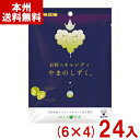 味覚糖 79g 長野のキャンディ やまのしずく (6×4)24入 (キャンディ 飴 お菓子 景品 まとめ買い) (Y80) (本州送料無料)