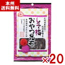 中野物産 しそ梅おやつ昆布 25g×20入 (こんぶ おつまみ お菓子 おやつ 食物繊維 景品 大量) (ケース販売)(Y80) (本州送料無料)