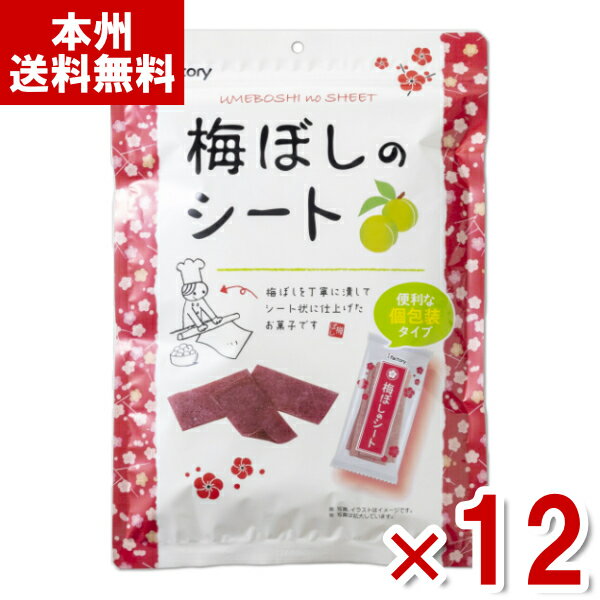 アイファクトリー メガ梅ぼしのシート 125g×12袋入 (個包装) (うめ 素材菓子 塩分補給 お菓子 大容量) (Y10)(ケース販売) (本州送料無料)