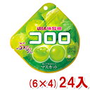 (本州送料無料)UHA味覚糖 コロロ マスカット (6×4)24入 (Y80) その1