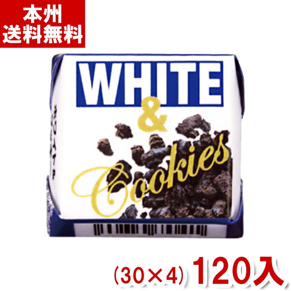 チロルチョコ ホワイト&クッキー (30×4)120入 (駄菓子 チョコレート) (Y60) (本州送料無料) 1