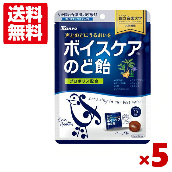 楽天ゆっくんのお菓子倉庫カンロ ボイスケアのど飴 個包装タイプ 70g×5袋セット （ポイント消化）（CP）（賞味期限2026.3月末） （メール便全国送料無料）