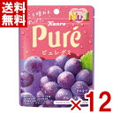 カンロ ピュレグミ グレープ 56g (6×2)12袋入 (CP) (賞味期限2025.11月末) (メール便全国送料無料)