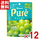 カンロ 56g ピュレグミ マスカット (6×2)12袋入 (CP) (賞味期限2025.8月末) (メール便全国送料無料)