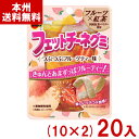 ブルボン 47g フェットチーネグミ プレミアム つぶつぶフルーツティー味 (10×2)20入 (グミ お菓子 景品 まとめ買い) (Y80) (本州送料無料)