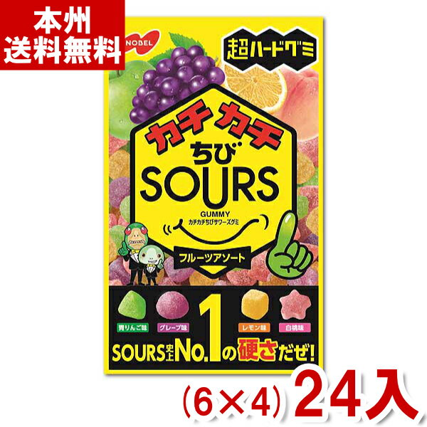 ノーベル カチカチ ちび SOURS (サワーズ) フルーツアソート 80g (6×4)24入 (Y80) (本州送料無料) 1