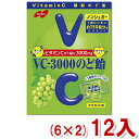 ノーベル 90g VC-3000のど飴 マスカット (6×2)12入 (Y80) (本州送料無料)