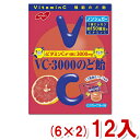 ノーベル 90g VC-3000のど飴 ピンクグレープフルーツ (6×2)12入 (Y80) (本州送料無料)