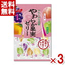 ノーベル やわらか果実ゼリー 230g×3袋 (ポイント消化) (敬老の日) (CP) (賞味期限2026.3月末) (メール便全国送料無料)