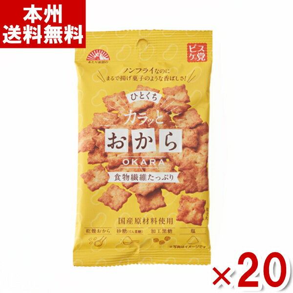 前田製菓 ひとくち カラッとおから 38g 20入 おから クラッカー 小袋 お菓子 おやつ まとめ買い Y80 本州送料無料 