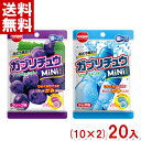 明治チューインガム ガブリチュウmini (10×2)20入 (駄菓子 ソフトキャンディ)(ポイント消化) (CP) (2つ選んでメール便全国送料無料)