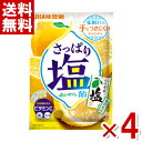味覚糖 さっぱり塩飴 塩レモン味 64g×4袋入 (塩分補給 お菓子) (ポイント消化) (CP) (賞味期限2026.1月末) (メール便全国送料無料)
