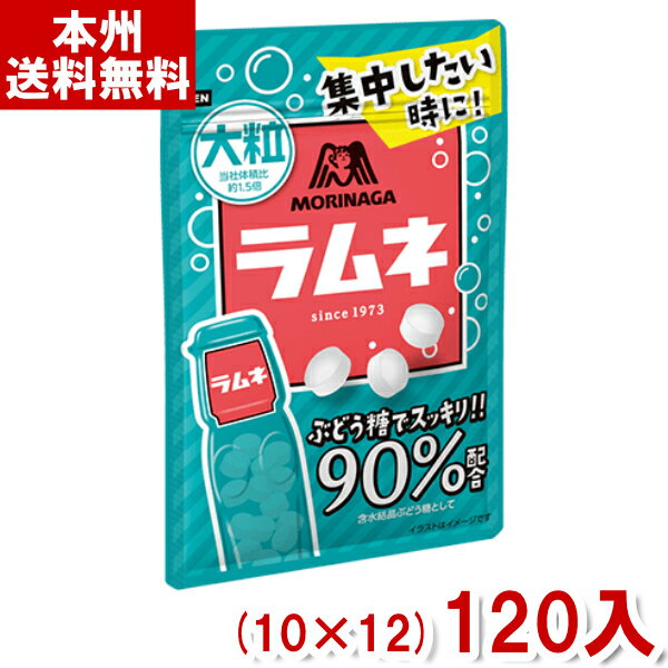 【内容量】 41g 【賞味期限】 メーカー製造日より12ケ月(未開封)です。実際にお届けする商品は、賞味期間は短くなりますのでご了承下さい。 【保存方法】 直射日光、高温多湿をおさけ下さい。 【原材料】 ぶどう糖、タピオカでん粉、ミルクカル...