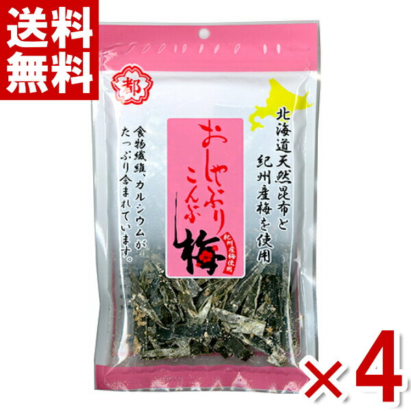 中野物産 おしゃぶり昆布 梅浜風(うめ浜風) 40g×4入 (ポイント消化)(np)(賞味期限2024.12.19) (メール便全国送料無料)