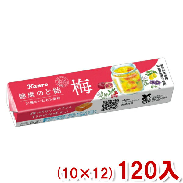 楽天ゆっくんのお菓子倉庫カンロ 健康のど飴 梅 スティックタイプ 11粒 （10×12）120入 （健康梅のど飴） （ケース販売） （Y10） （本州送料無料）