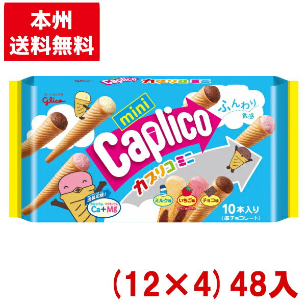 江崎グリコチョコレート 江崎グリコ カプリコミニ大袋 (12×4)48入 (チョコレート)(Y14) (本州送料無料)