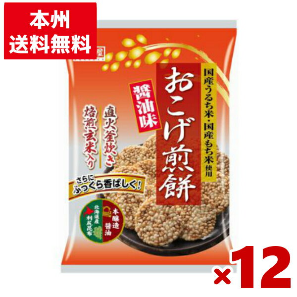 天乃屋 おこげ煎餅 醤油味 9枚×12入 (せんべい 米菓 しょうゆ まとめ買い) (Y10)(ケース販売) (本州送料無料)