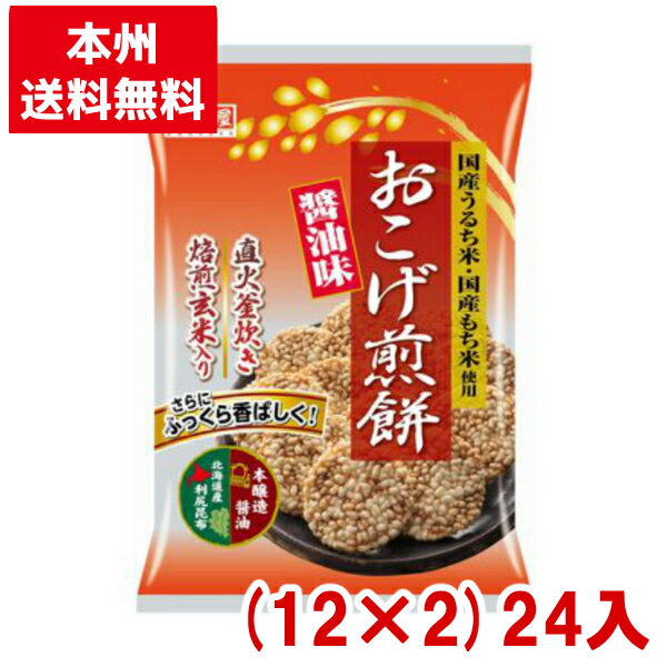 天乃屋 9枚 おこげ煎餅 醤油味 (12×2)24入 (せんべい 米菓 しょうゆ お菓子 まとめ買い) (Y16)(2ケース販売) (本州送料無料)