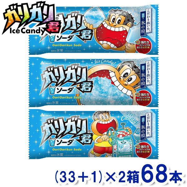 赤城乳業 ガリガリ君 ソーダ (33+1)×2箱 68本入 (アイス かき氷 氷菓) (冷凍) (本州一部冷凍送料無料) 1