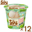 クラシエ 105ml SOY バニラ (6×2)12入 (ソイ 豆乳 アイス アイスクリーム 熨斗対応 母の日 父の日 お中元 お歳暮)(冷凍) (本州一部冷凍...