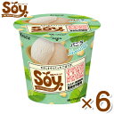 クラシエ SOY バニラ 105ml×6入 (ソイ 豆乳 アイス アイスクリーム 熨斗対応 母の日 父の日 お中元 お歳暮)(冷凍) (本州一部冷凍送料無料)