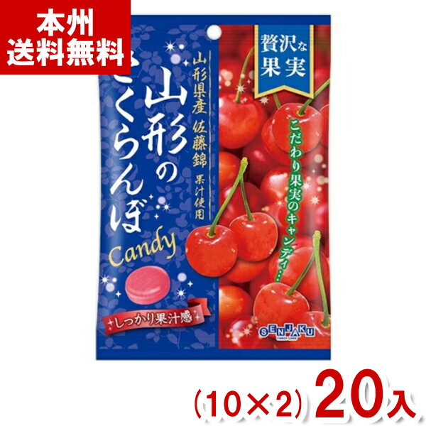 扇雀飴本舗 52g 贅沢な果実 山形のさ