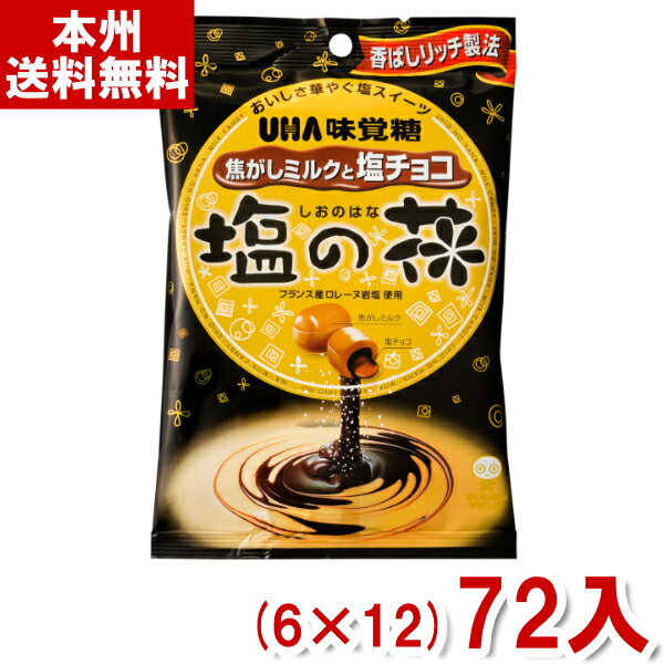 楽天ゆっくんのお菓子倉庫味覚糖 80g 塩の花 焦がしミルクと塩チョコ （6×12）72入 （飴 お菓子） （Y12）（ケース販売） （本州送料無料）