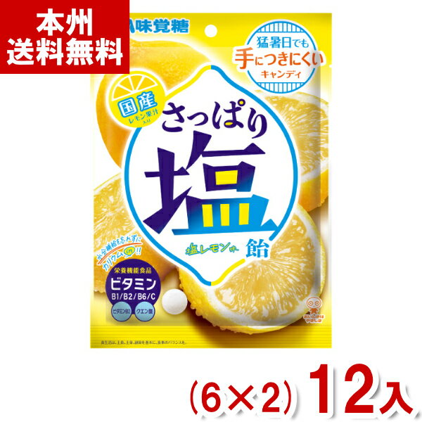 キャンディ 味覚糖 64g さっぱり塩飴 塩レモン味 (6×2)12入 (塩分補給 熱中症対策 キャンディ お菓子 大量) (Y80) (本州送料無料)