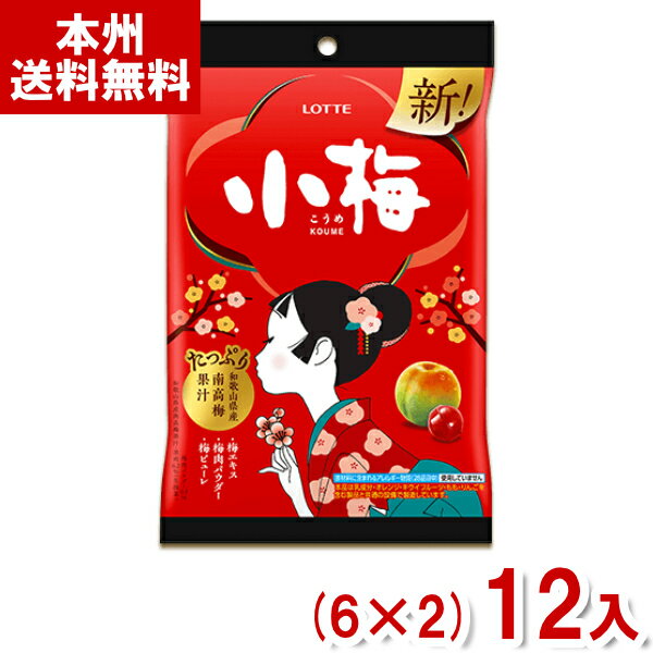 キャンディ ロッテ 60g 小梅 袋 (6×2)12入 (こうめ うめ 梅 飴 キャンディ お菓子 景品 粗品 まとめ買い) (Y80) (本州送料無料)