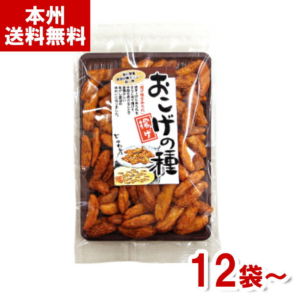 龍屋物産 110g おこげの種 (おつまみ あられ 米菓 お菓子 おやつ まとめ買い) (本州送料無料)