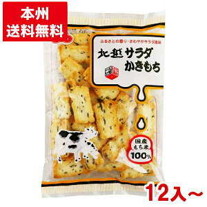 北越 70g 北越サラダかきもち (米菓 おかき お菓子 まとめ買い) (本州送料無料)