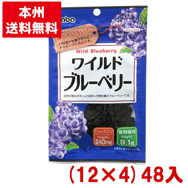 稲葉ピーナツ 30g ワイルドブルーベリー (12×4)48入 (ドライフルーツ 食物繊維 お菓子 パン材料)(Y80) (本州送料無料)