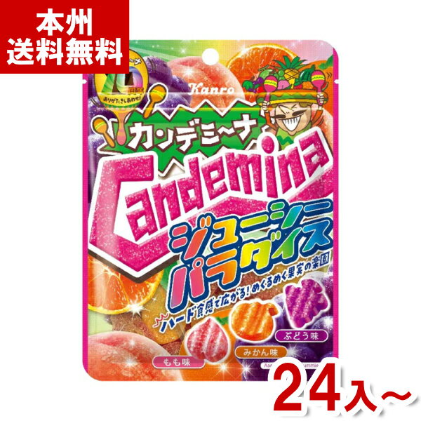 楽天ゆっくんのお菓子倉庫カンロ 72g カンデミーナグミ ジューシーパラダイス （ハードグミ グミ お菓子 おやつ まとめ買い） （本州送料無料）