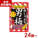 ノーベル 10g おしゃぶり男梅シート (男梅 梅干し お菓子 おやつ まとめ買い) (本州送料無料)