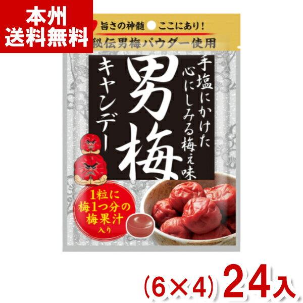 ノーベル 80g 男梅キャンデー (6×4)24入 (熱中症対策 塩分補給 うめ 男梅 キャンディ) (Y10) (本州送料無料)